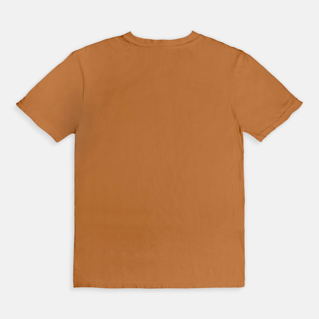 Booked & Educated Comfort Colors Tee