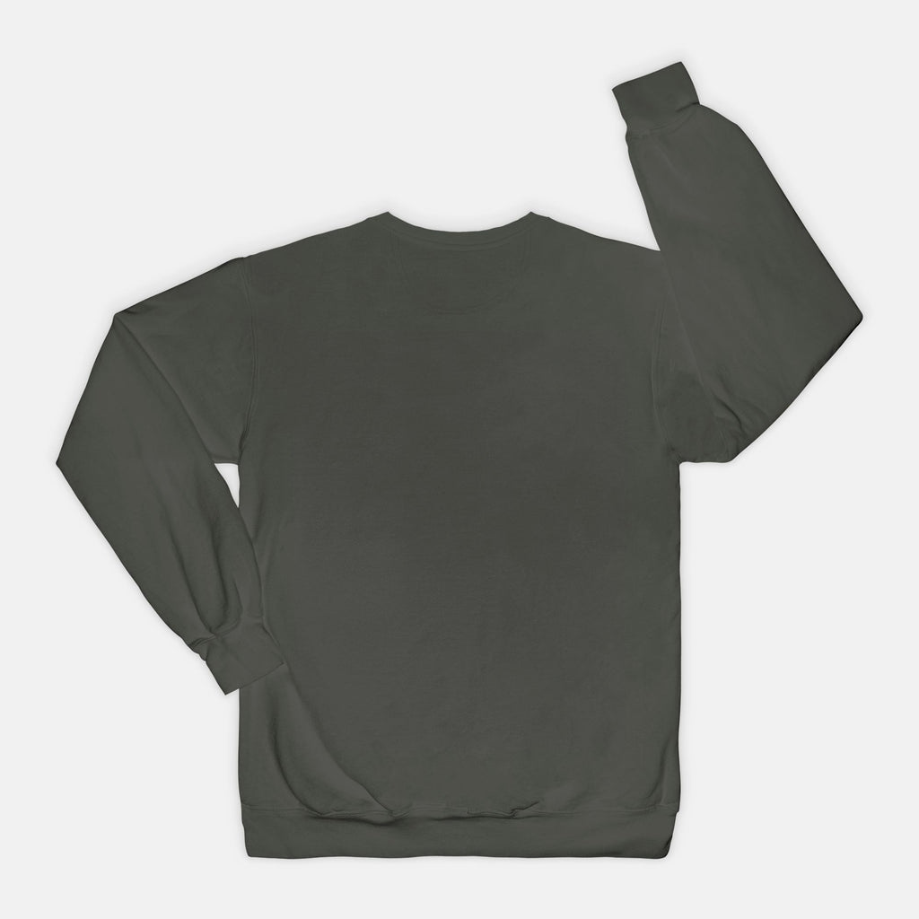 Anti-Social Book Club Comfort Color Crewneck