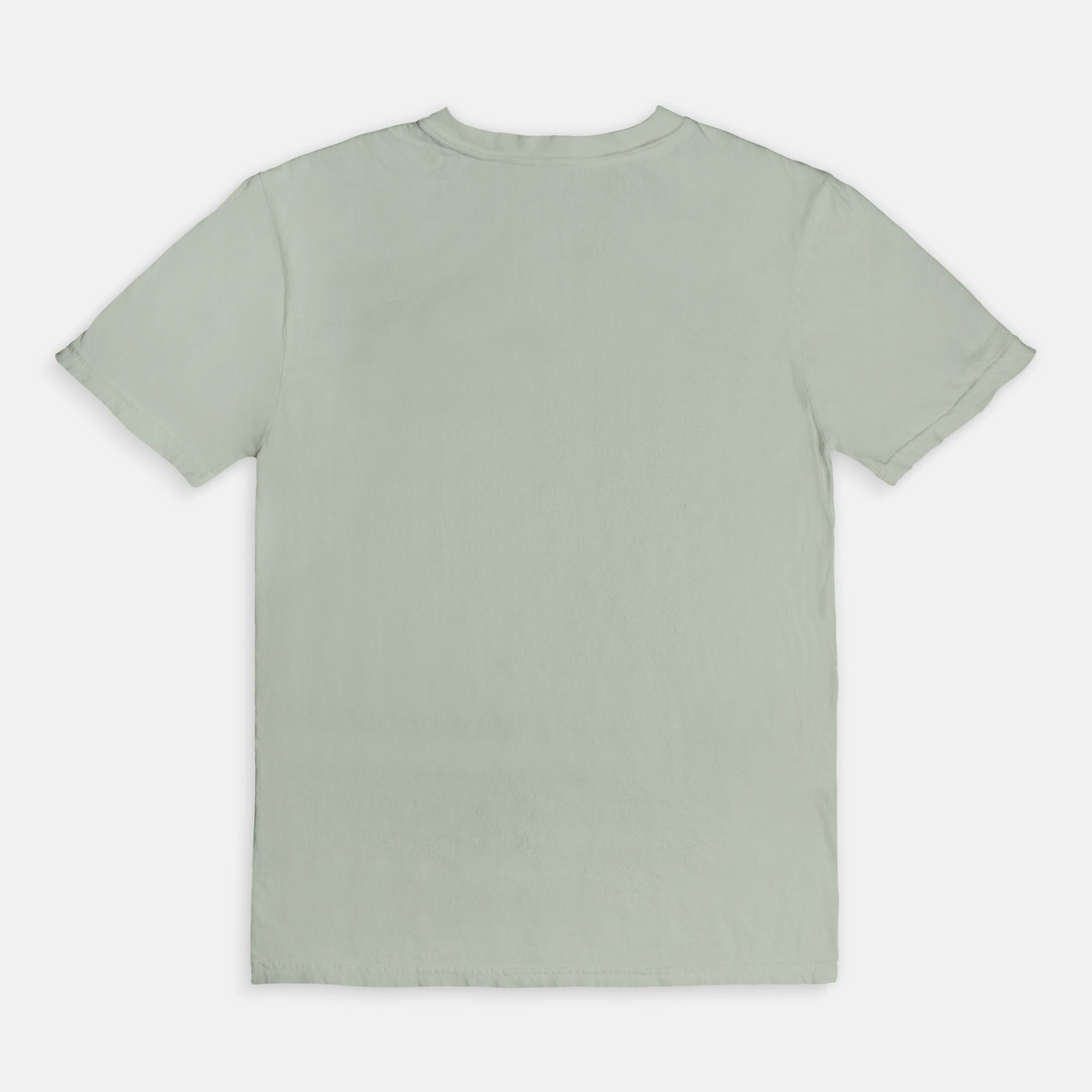 Booked & Educated Comfort Colors Tee