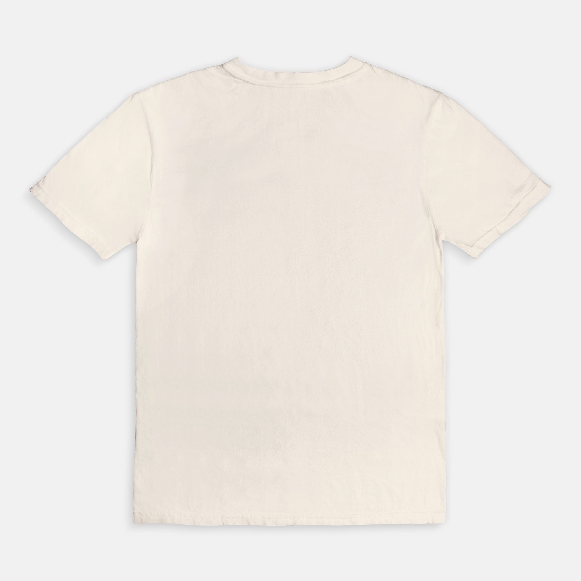 Book Club Comfort Colors Tee