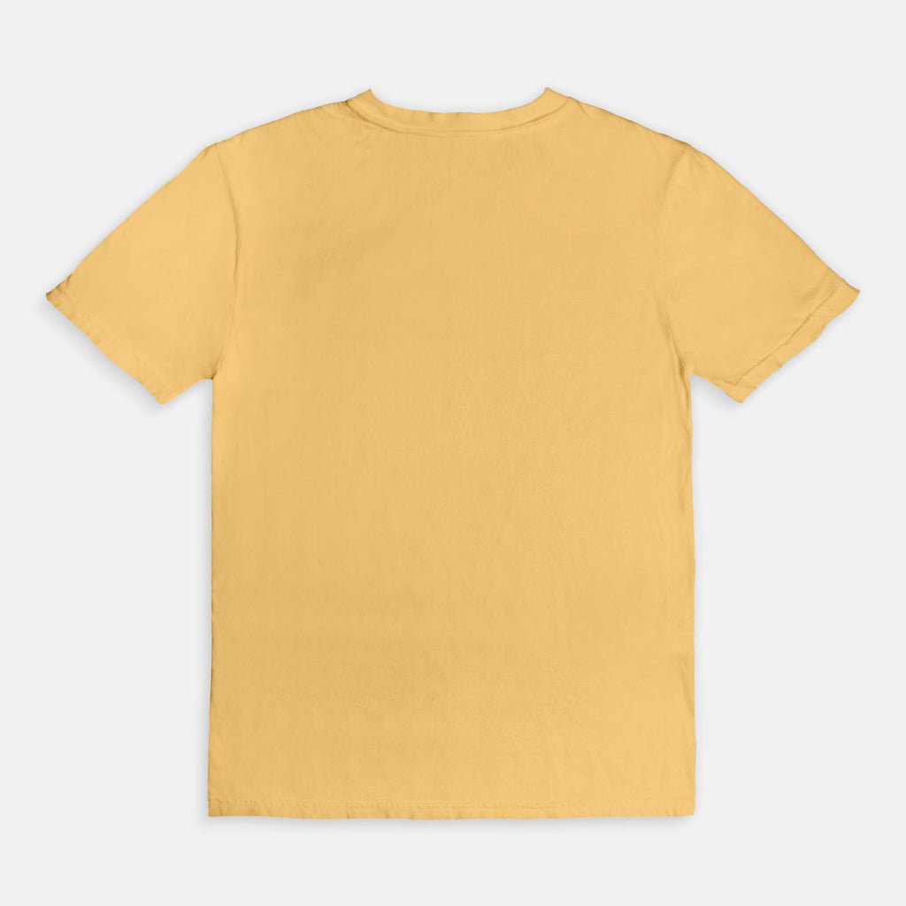 Booked & Educated Comfort Colors Tee