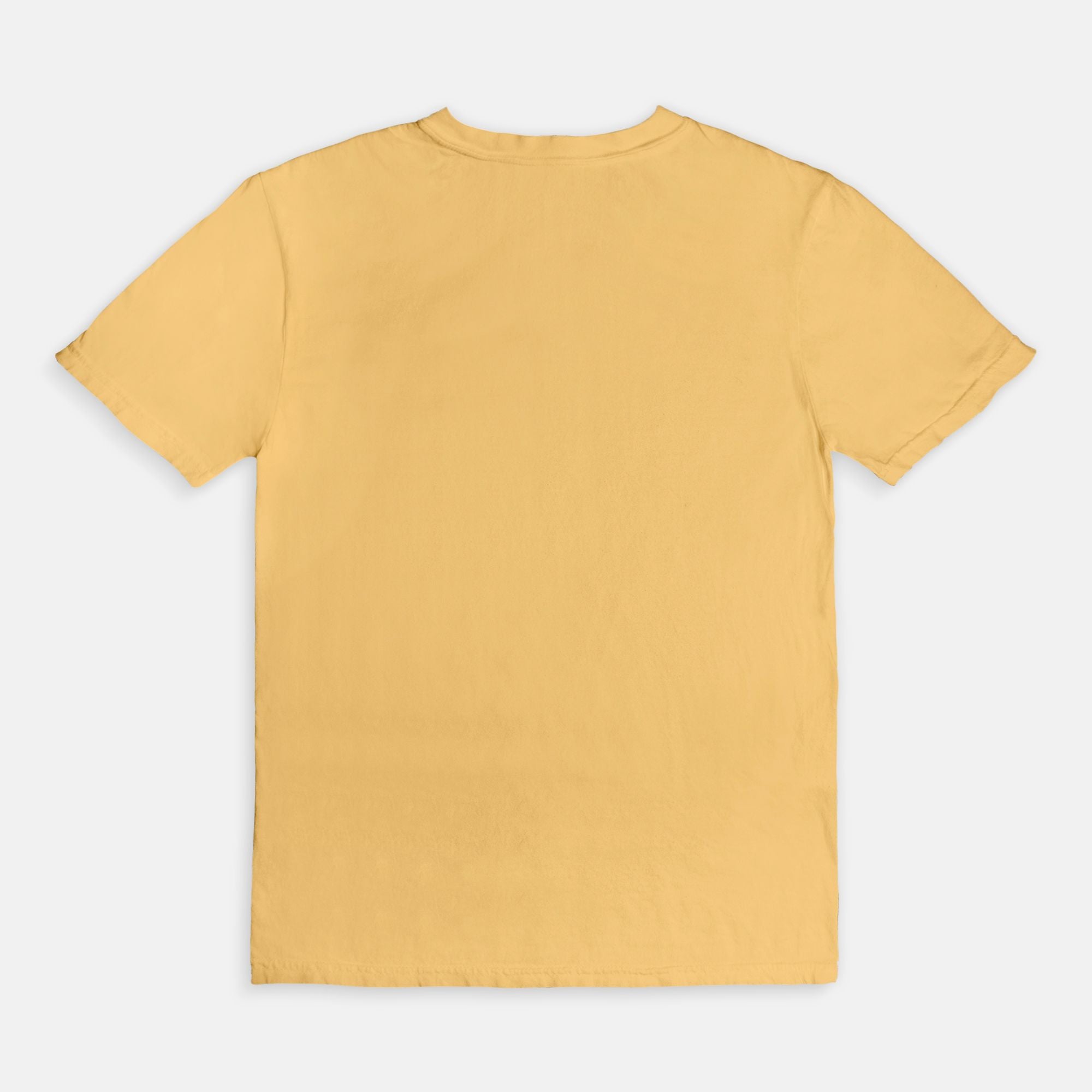 Booked & Educated Comfort Colors Tee