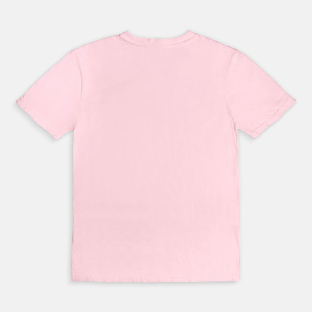 Booked & Educated Comfort Colors Tee
