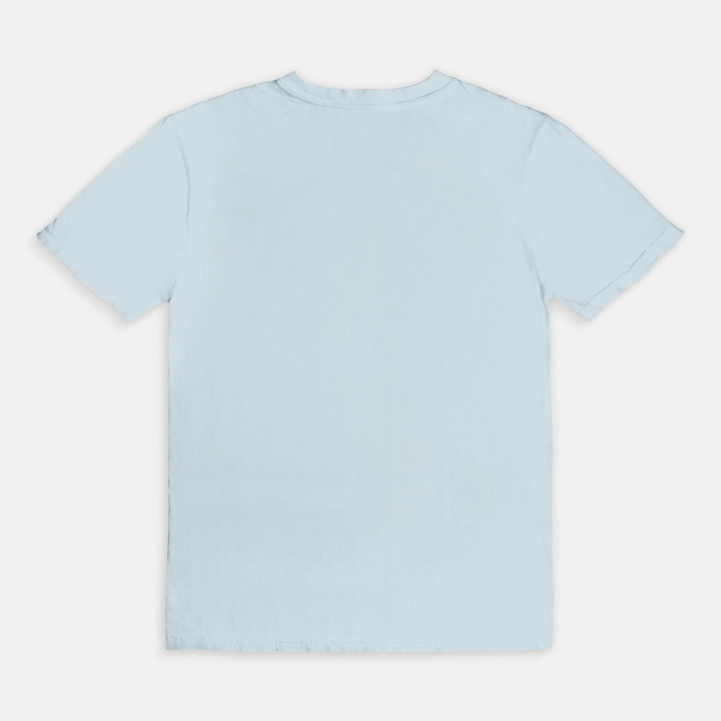 Booked & Educated Comfort Colors Tee