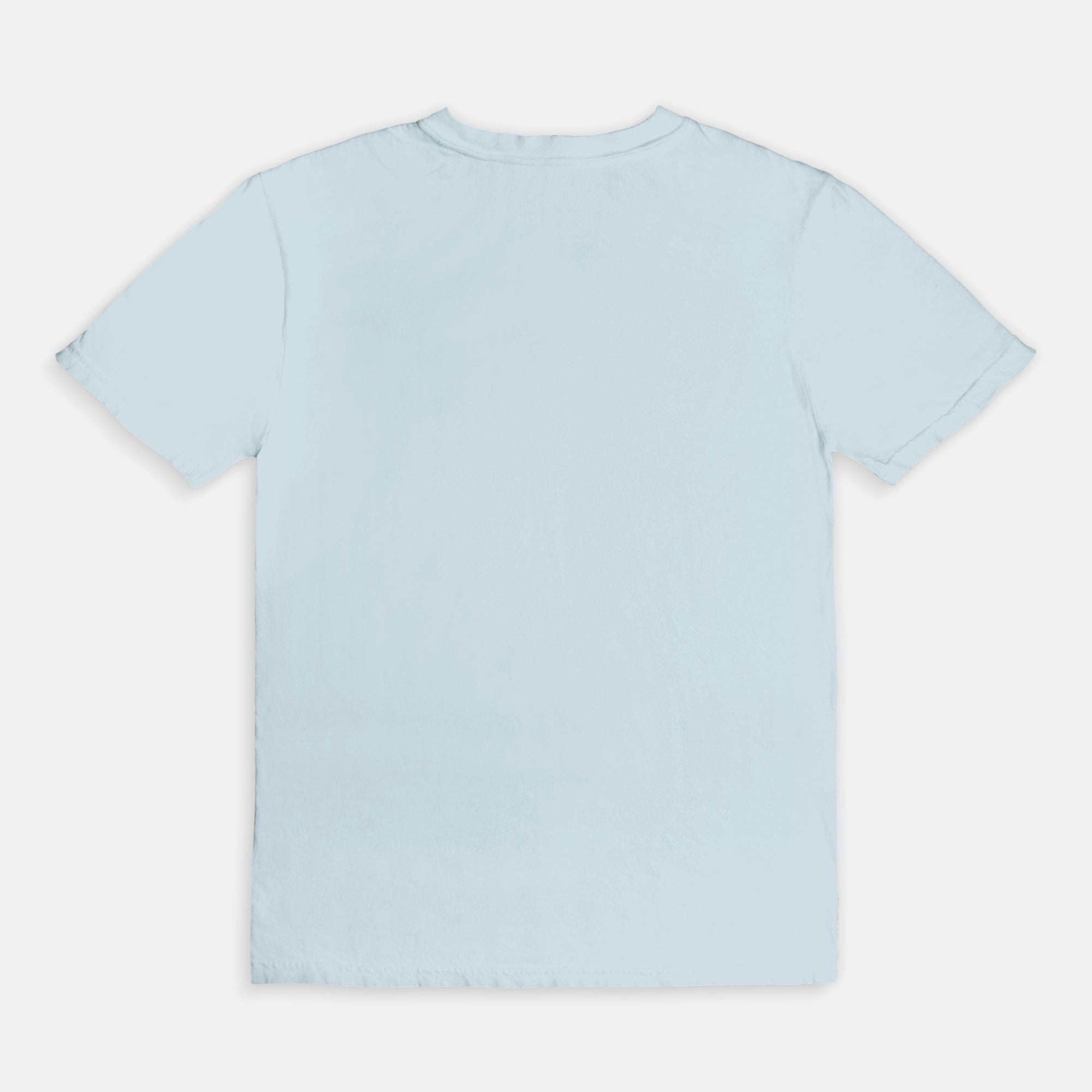 Book Club Comfort Colors Tee