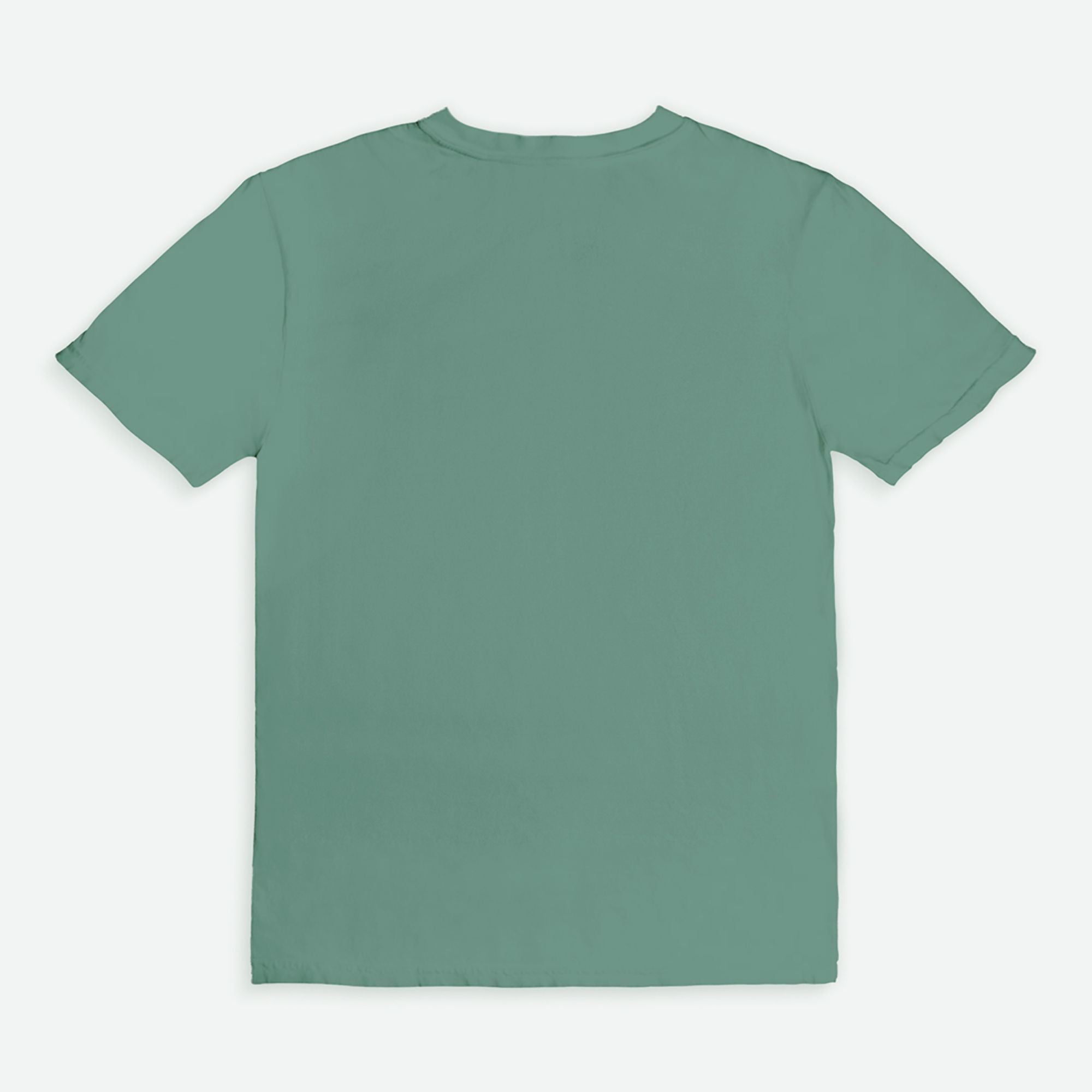 Booked & Educated Comfort Colors Tee